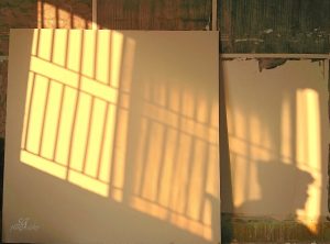 My Vision as an Artist